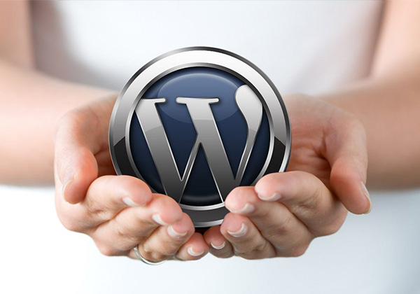 content-management-system-pembuatan-website-wordpress